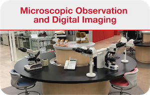 顕微鏡観察・デジタルイメージング